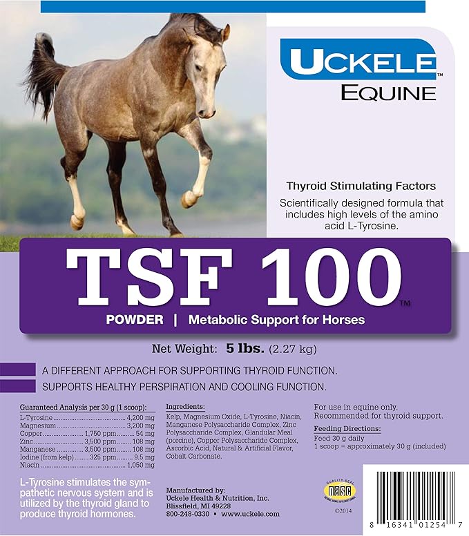 Uckele Equine TSF 100 Horse Supplement - Metabolic Support Powder for Horses - Equine Mineral Supplement - 5 pound (lb)