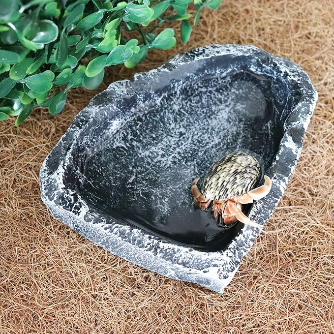 3 Pack Reptile Food Dish, Resin Hermit Crab Food & Water Bowl, Reptile Feeding Food Dish Kit, Tank or Aquarium Accessory, Suitable for Turtle Lizard Hermit Crab Snail Bearded Dragon Leopard Gecko