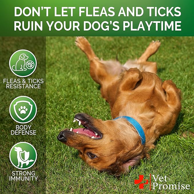 Flea and Tick Prevention for Dogs Chewables - All Natural Dog Flea & Tick Control - Flea and Tick Chews for Dogs - Oral Flea Pills for Dogs Supplement - Made in USA - 115 Chews