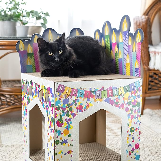 Kitty City Birthday Cake Scratcher
