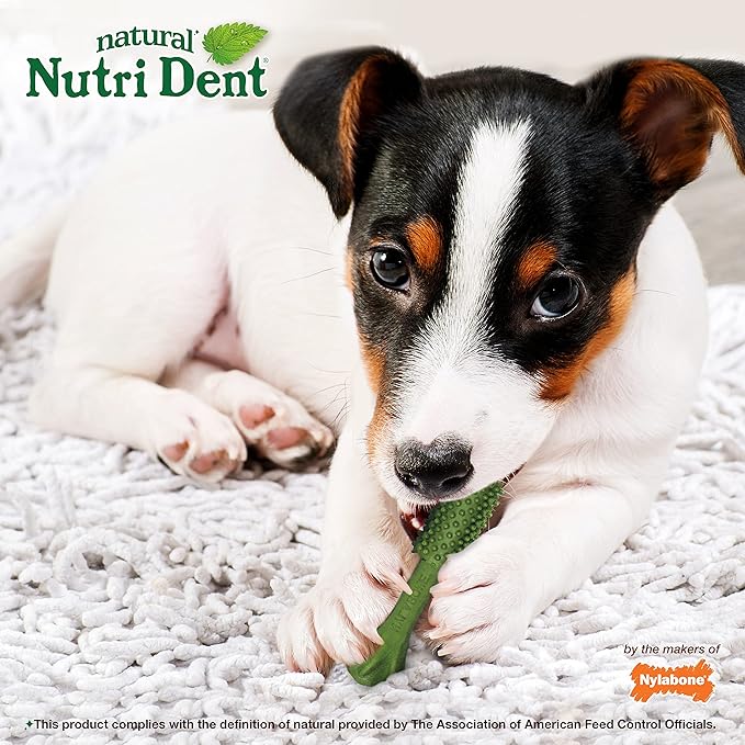 Nylabone Nutri Dent Dog Dental Chews - Natural Dog Teeth Cleaning & Breath Freshener - Dental Treats for Dogs - Fresh Breath Flavor, Small (28 Count)