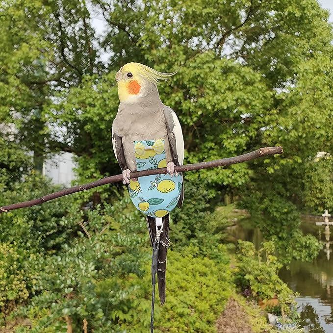 VANFAVORI Bird Diaper Harness Flight Suit Clothes with 80 Inch Flying Leash for Parrots Cockatiel Pet Bird, Lemon, Including A Cotton Pad