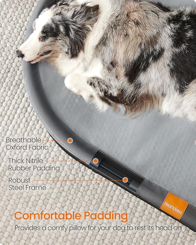 Feandrea Pet Bed, Elevated Dog Bed for Medium, Large Dogs, Cat Bed for Multiple Cats, with Removable Washable Mesh, for Pets up to 120 lb, Oval, Gray UPCB005G01