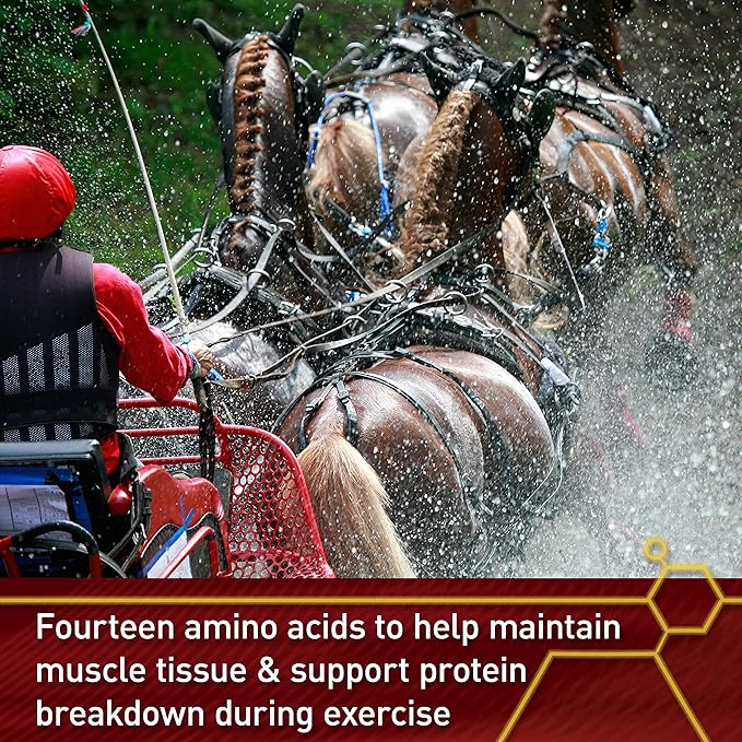 Pro Accel Health & Wellness Formula, Horse Supplement, 30 Pounds, 480-Day Supply