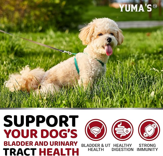 Dog UTI Treatment - 170 Treats - Cranberry Supplement for Dogs - Bladder Control for Dogs - Dog Urinary Tract Infection Treatment - UTI Medicine for Dogs Multivitamin - Dog Vitamins and Supplements