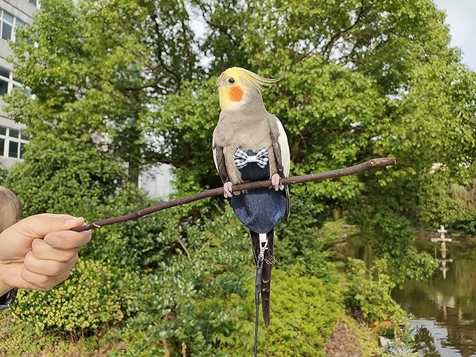 VANFAVORI Bird Diaper Harness Flight Suit Clothes with 80 Inch Flying Leash for Parrots Cockatiel Pet Birds, Denim Blue, S Size, Including A Cotton Pad