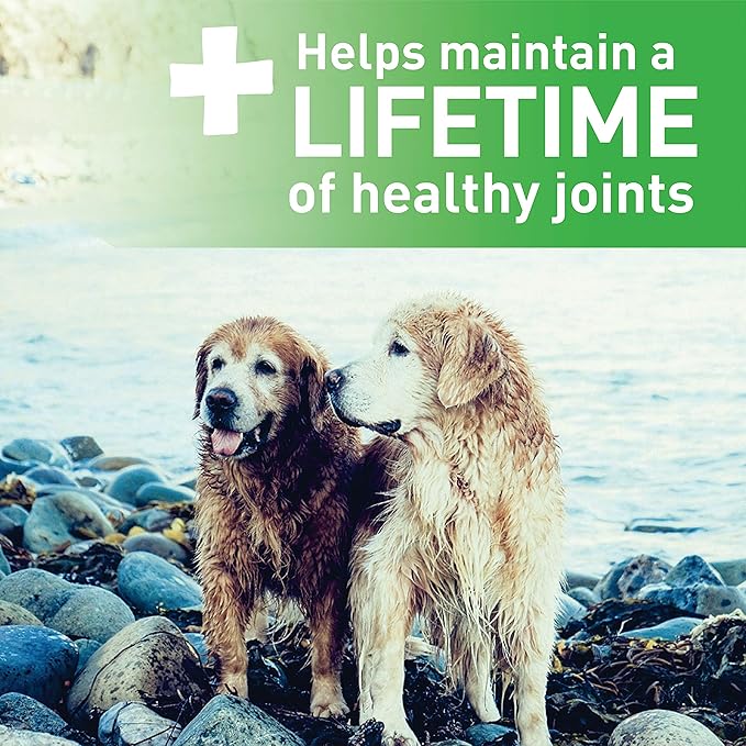 Greenies Aging Care Large Natural Dental Care Dog Treats, 27 oz. Pack (17 Treats)