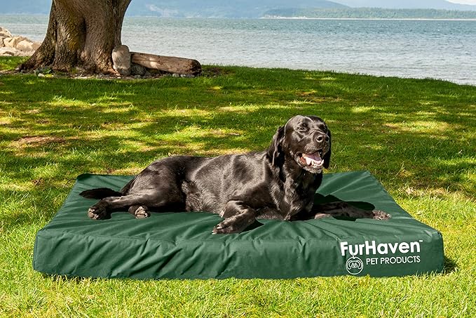 Furhaven Water-Resistant Orthopedic Dog Bed for Large Dogs w/ Removable Washable Cover, For Dogs Up to 125 lbs - Indoor/Outdoor Logo Print Oxford Polycanvas Mattress - Forest, Jumbo Plus/XXL