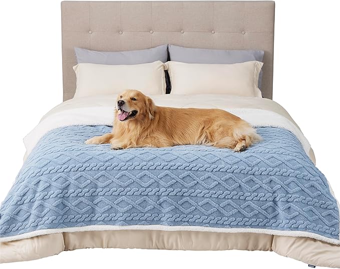 Bedsure Waterproof Dog Blankets for Large Dogs - Pet Blanket for Bed Couch Protector Washable, Premium Jacquard Coral Fleece Cat Throw Blanket, Soft Reversible Furniture Protection, 60x80, Light Blue