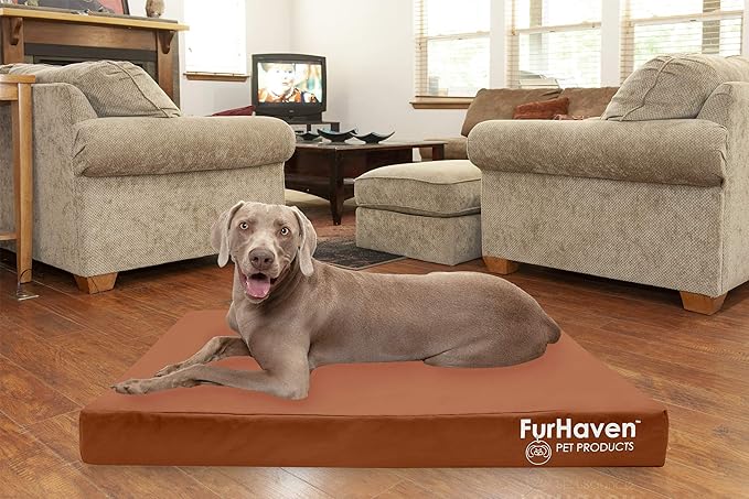 Furhaven Water-Resistant Cooling Gel Dog Bed for Large Dogs w/ Removable Washable Cover, For Dogs Up to 125 lbs - Indoor/Outdoor Logo Print Oxford Polycanvas Mattress - Chestnut, Jumbo Plus/XXL