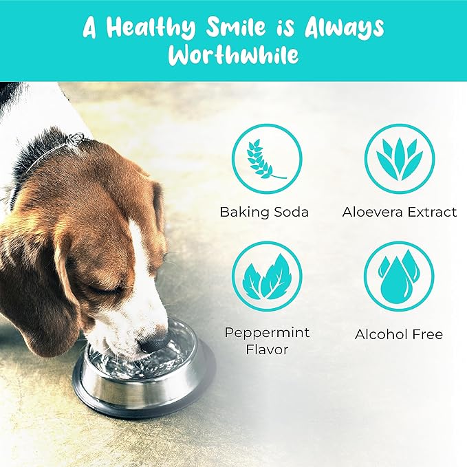 Pets Are Kids Too Premium Pet Dental Spray - 8oz Mint Dog Breath Freshener Cat Dental Care Dog Dental Mouthwash Dog Spray Dog Teeth Cleaning Fights Tartar Plaque Gum Disease Dog Breath Water Additive