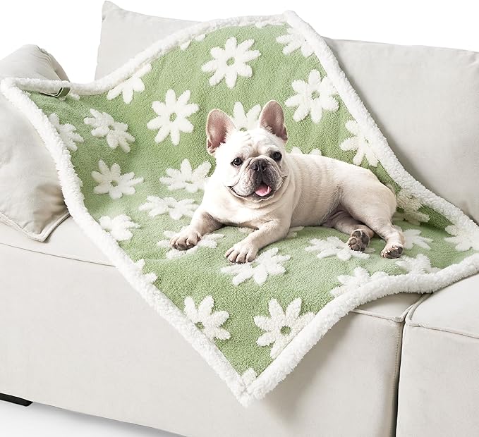 Lesure Waterproof Dog Blanket for Medium Dogs - Washable Double Sided Dog Blankets with Warm Jacquard Shag and Soft Sherpa Fleece, Pet Cat blanket for Couch Protection, 3D Textured Cloud, Green