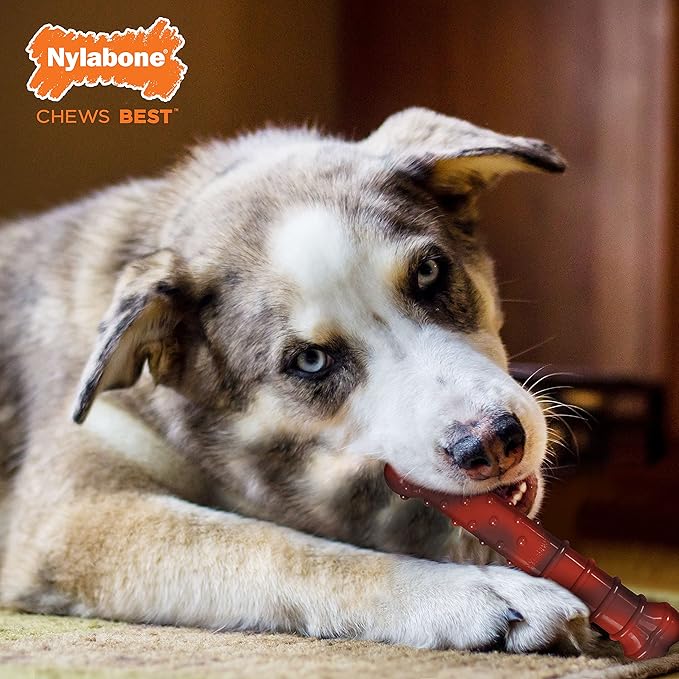 Nylabone Power Chew Classic Bone Chew Toy for Dogs, Durable Dog Toys for Aggressive Chewers, Flavor Frenzy Beef Jerky & Chicken, Large/Giant - Up to 50 lbs. (2 Count)