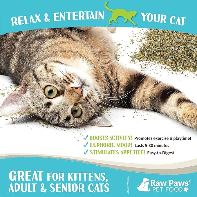 Raw Paws Natural Catnip for Cats, 1-oz - Use for Refillable Catnip Toys for Cats - Catnip Treats for Cats - Catnip for Dogs - Cat Nip Cat Grass - Dog Catnip - Dried Catnip Leaves & Seeds