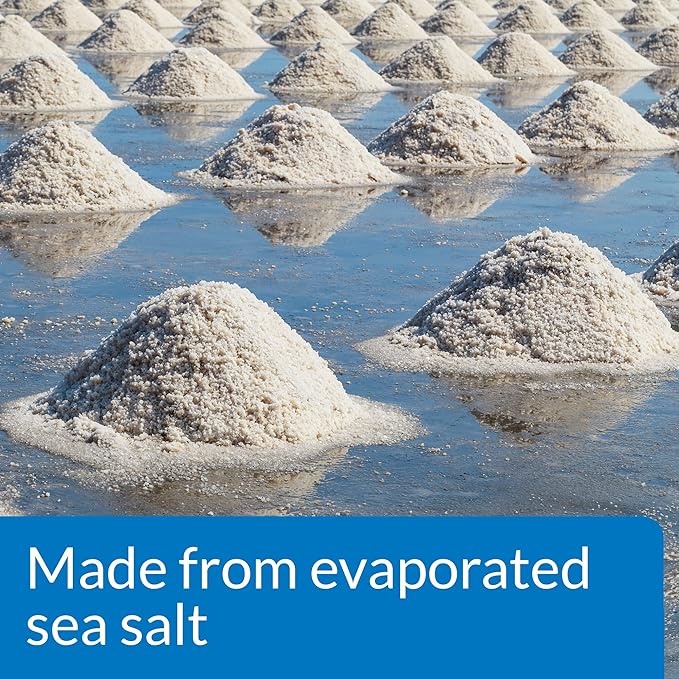 API AQUARIUM SALT Freshwater Aquarium Salt 16-Ounce Box