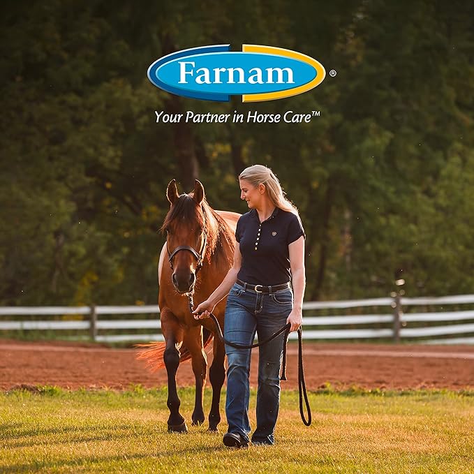 Farnam SuperMask II Fly Mask Without Ears for Larger Horses, Full Face Coverage and Eye Protection from Insect Pests, Structured Classic Styling Mesh with Plush Trim, XL Size