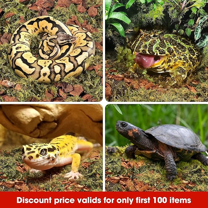 Duspro Reptile Bedding Forest Moss Mix Pine Bark, Substrate for Reptile Tank, Floor Bedding for Reptiles, Snake Tortoise Bedding, Leopard Gecko Substrate, Terrarium Moist Moss