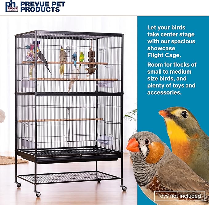 Prevue Pet Products Wrought Iron Flight Cage with Stand F040 Black Bird Cage, 31-Inch by 20-1/2-Inch by 53-Inch