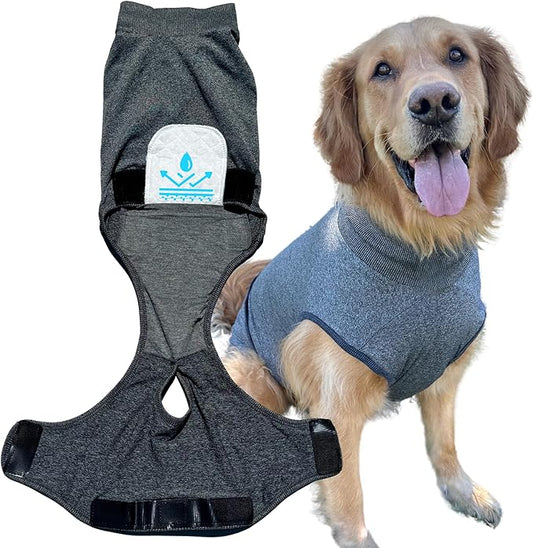 Dog Recovery Suit After Surgery - for Spay Neuter - with Washable Pads - Dog Onesie (Grey Small)