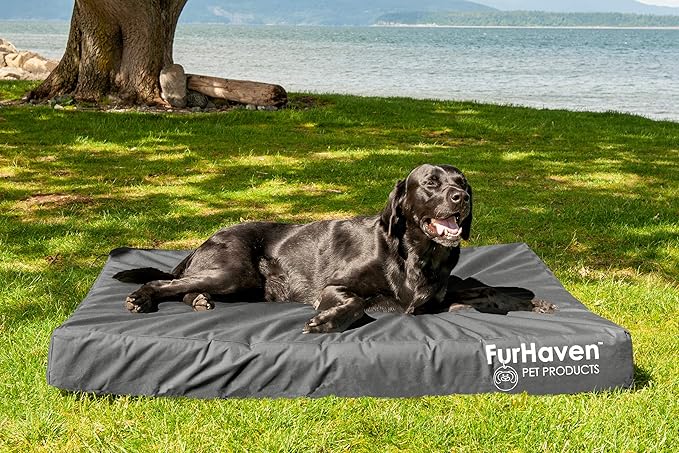 Furhaven Water-Resistant Orthopedic Dog Bed for Large Dogs w/ Removable Washable Cover, For Dogs Up to 125 lbs - Indoor/Outdoor Logo Print Oxford Polycanvas Mattress - Stone Gray, Jumbo Plus/XXL