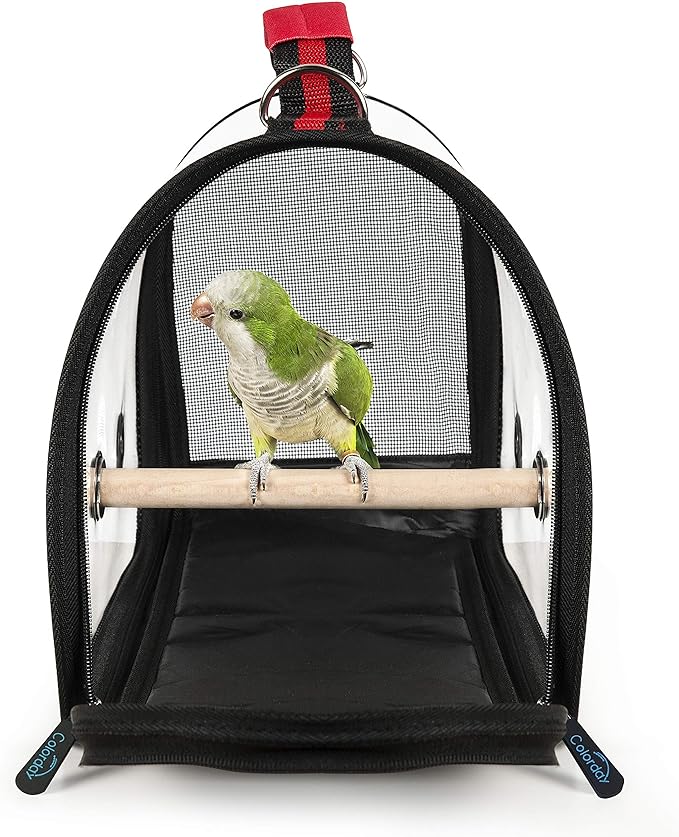 Lightweight Bird Carrier for Travelers, Bird Travel cage with Parrot Feeder Cups & Standing Perch and Tracy (Medium 16 x 9 x 11, Red) Patented Product