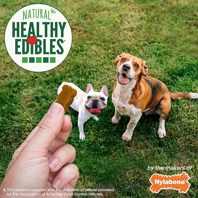 Nylabone Healthy Edibles Chewy Bites Dog Training Treats Peanut Butter, 12 Ounce (1 Count)