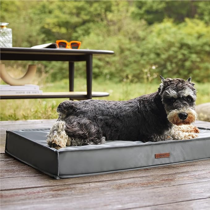 Lesure Water-Resistant Dog Bed Cover - Medium, Oxford Fabric, 30x20x3 Inches