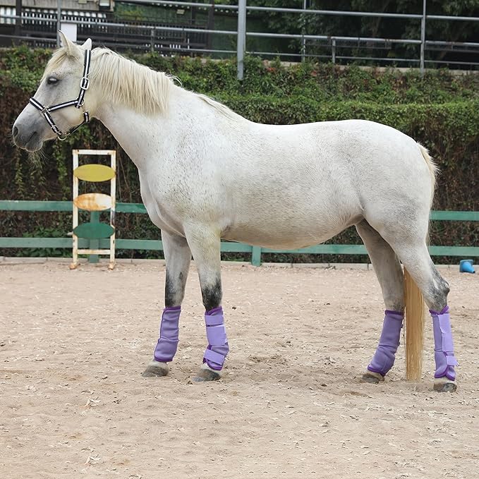 Horse Fly Boots - Fly Horse Boots Perfect for Equine Leg Wraps and Maximum Horse Fly Protection Set of 4 (Violet, Cob)