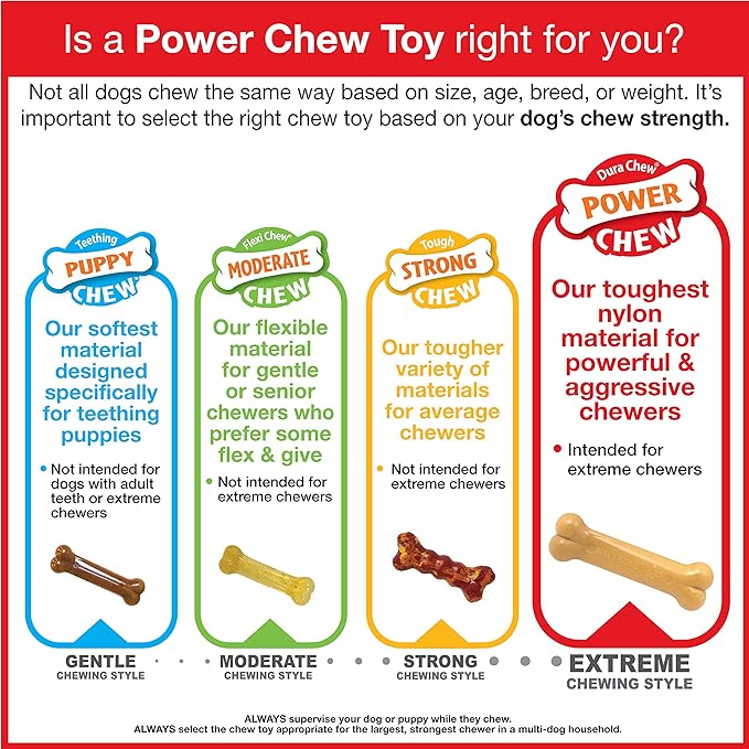 Nylabone Power Chew Flavor Frenzy Bone Chew Toy for Dogs, Chew Toys for Aggressive Chewers, Pancakes & Sausage, Roast Beef Club, & Lasagna Flavor, X-Small/Petite - Up to 15 lbs. (3 Count)