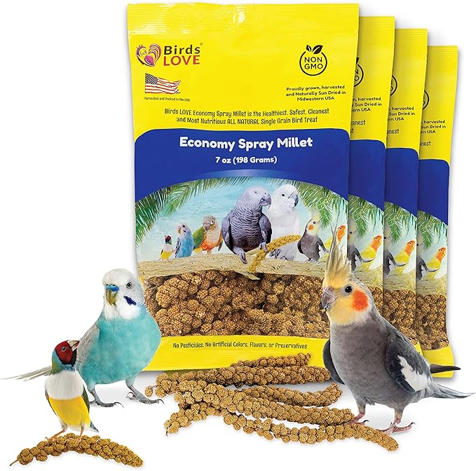 Birds LOVE Economy & Thin Special Spray Millet - GMO-Free (No Stems Only Edible Tops) for Birds Cockatiel, Lovebird, Parakeet, Finch, Canary All Parrots Healthy Treat 7oz - Pack of 4