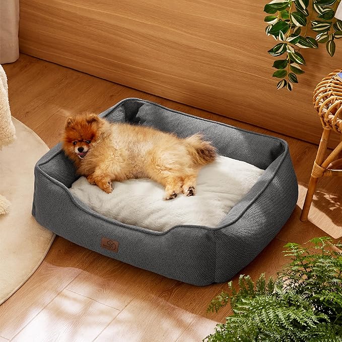 Bedsure Washable Dog Bed for Small Dogs - Waterproof All-Season Foam Puppy Beds, Orthopedic Rectangle Cuddle Indoor Cat Beds with Removable Zipper Cover, 25x21x8inches, Grey