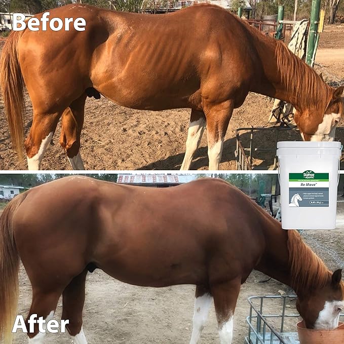 Equitec Re Move - Horse Supplements That Support The Body's Normal Process to Remove Ingested Toxins, Contains Probiotics - 8.8 lb