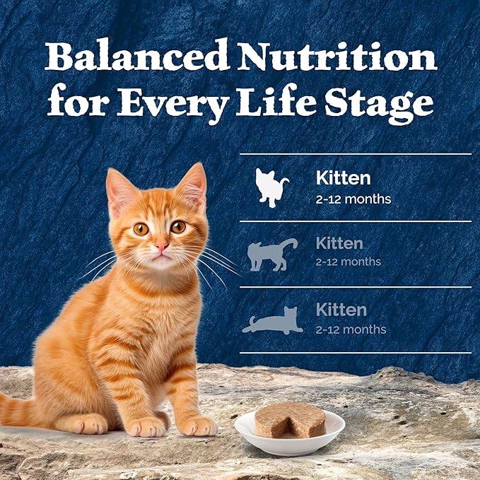 Blue Buffalo Wilderness High Protein Grain Free, Natural Kitten Pate Wet Cat Food Variety Pack, Chicken, Salmon 3-oz (6 Count- 3 of Each Flavor)