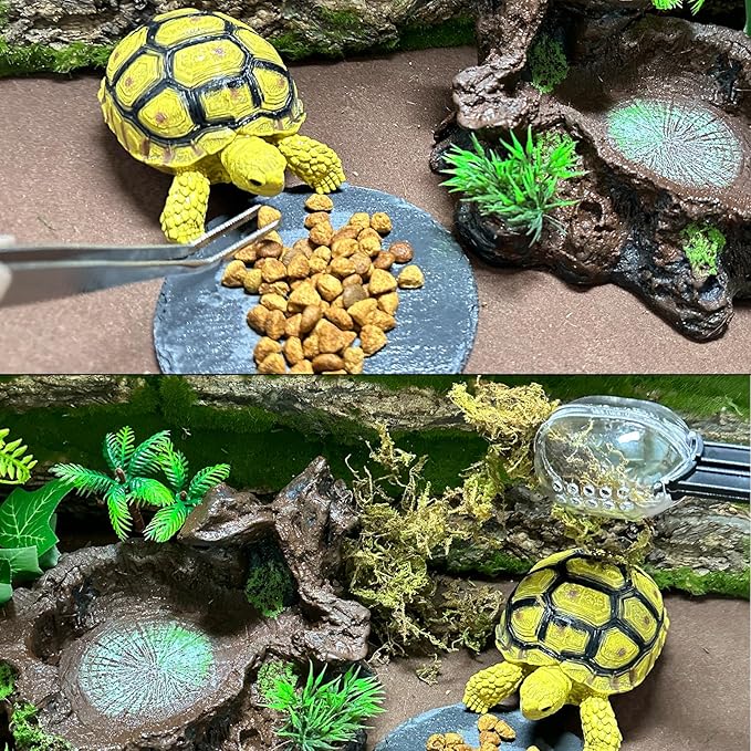 Reptile Feeding Bowl Resin Turtle Food Water Dish Tank Decor Basking Climbing Platform with Feeding Cleaning Tools for Lizard Gecko Chameleon Frog Beared Dragon Spider