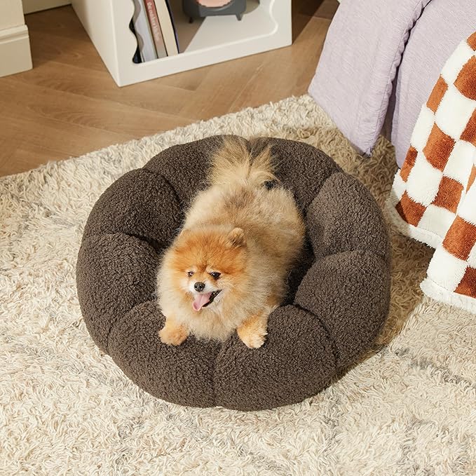 Lesure Calming Small Dog Bed - Flower Donut Round Fluffy Puppy Bed in Plush Teddy Sherpa, Non-Slip Cute Flower Cat Beds for Indoor Cats, Small Pet Bed Fits up to 25 lbs, Machine Washable, Espresso 23"