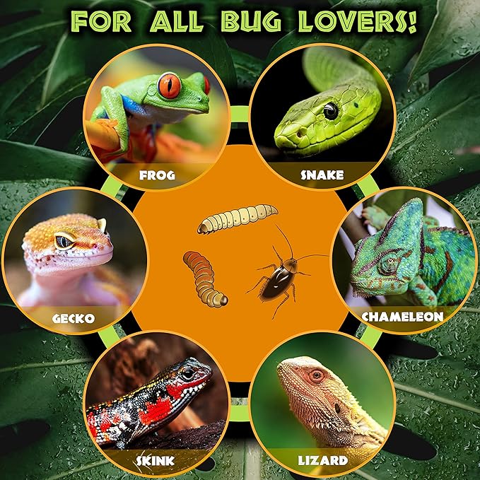 Reptile Food Dish Bowl - Anti-Escape Ceramic Worm Water Dish Feeder for Mealworm, Superworm, Dubia Roaches, Lizard, Leopard Gecko, Bearded Dragon, Chameleon, Skink, Tegu, Snake (Large, Black)