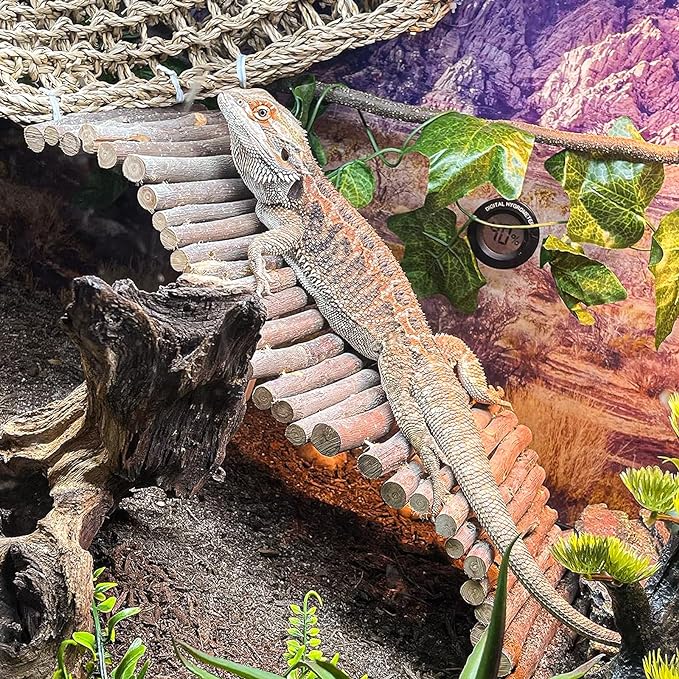 HERCOCCI Bearded Dragon Tank Accessories, Large Reptile Bridge Hammock Flexible - Jungle Climbing Vines and Leaves with Suction Cups Habitat Décor for Hiding& Climbing Snake Gecko Lizard Chameleon