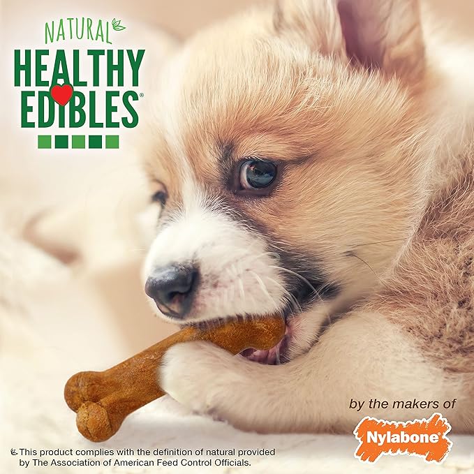 Nylabone Healthy Edibles Natural Puppy Chews Long Lasting Turkey & Sweet Potato Flavor Treats for Dogs, X-Small/Petite (16 Count)