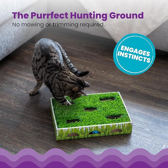 Catstages Grass Patch Hunting Box Cat Toy