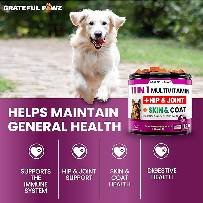 Dog Multivitamin Chewable with Glucosamine - Dog Vitamins and Supplements, Senior & Puppy Multivitamin for Dogs - Pet Chondroitin Hip and Joint Support Health, Immune Booster, Skin, Heart, Probiotics