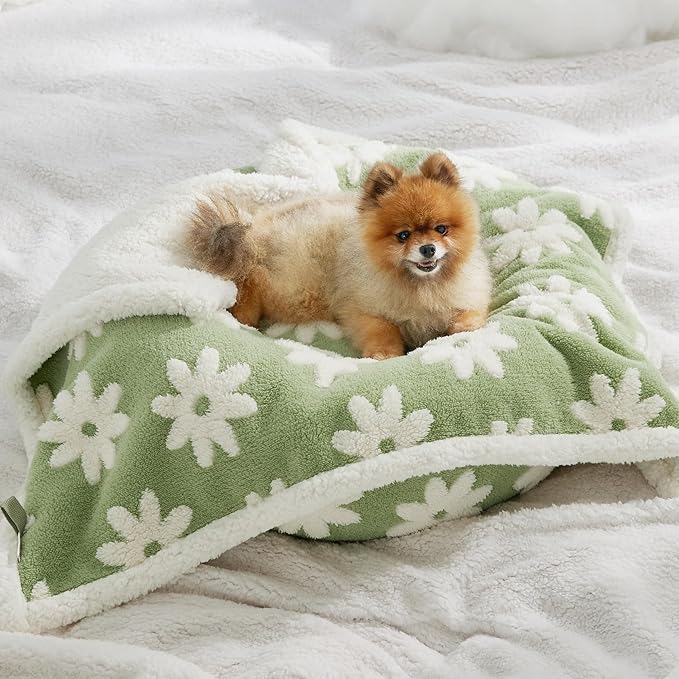 Lesure Waterproof Puppy Blanket for Small Dogs - Washable Double Sided Dog Blankets with Warm Jacquard Shag and Soft Sherpa Fleece, Pet Cat blanket for Couch Protection, 3D Textured Cloud, Green