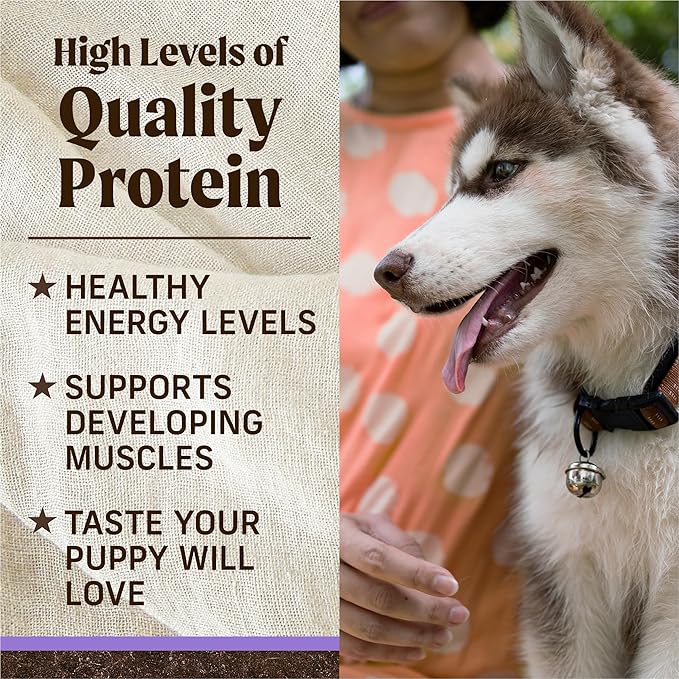 Merrick Premium Grain Free Dry Puppy Food, Wholesome and Natural Kibble with Real Texas Beef and Sweet Potato - 22.0 lb. Bag