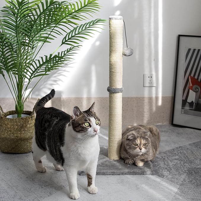 29 Inches Cat Scratching Post, Cat Scratch Post Kitten Scratcher with Sisal Rope, Scratching Post for Indoor Cats with Hanging Ball