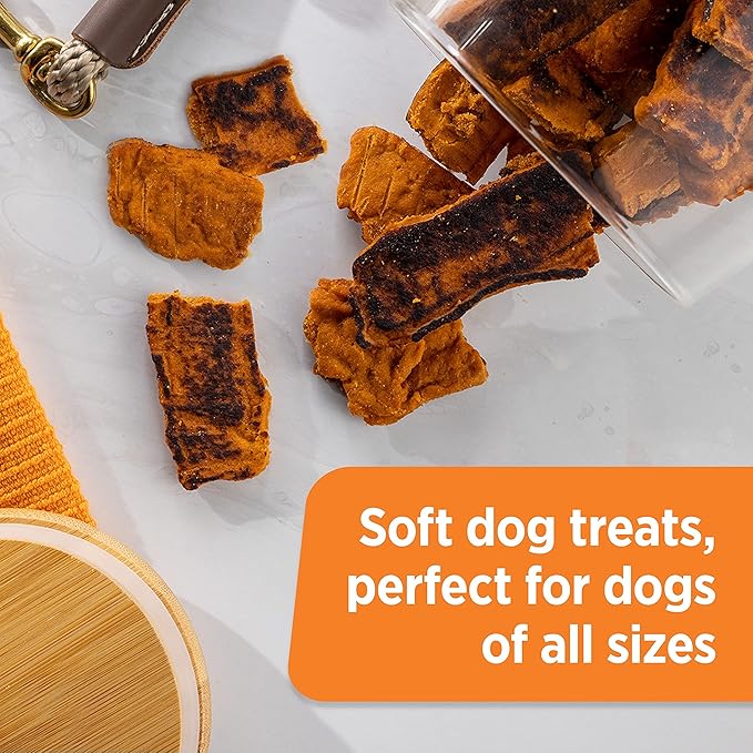 Rachael Ray Nutrish Turkey Bites Real Meat Grain Free Dog Treats, Turkey Recipe with Hickory Smoked Bacon Flavor, 5 Ounce (Pack of 5) Packaging May Vary