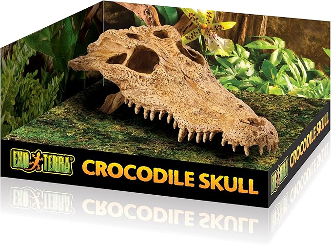 Exo Terra Terrarium Decor Croc Skull LQ, for Reptile and Amphibians