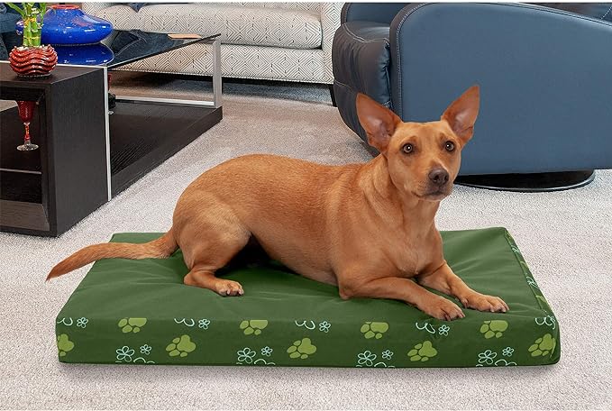 Furhaven Water-Resistant Memory Foam Dog Bed for Medium/Small Dogs w/ Removable Washable Cover, For Dogs Up to 35 lbs - Indoor/Outdoor Garden Print Mattress - Jungle Green, Medium