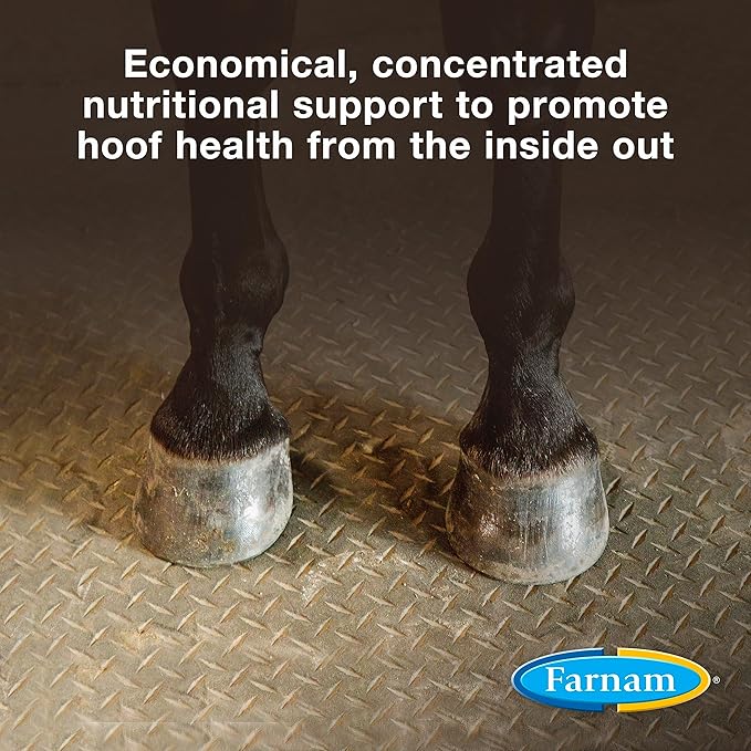 Farnam Horseshoer's Secret Pelleted Hoof Supplements Concentrate, Economic formula with 25 mg. of biotin per 2 oz. serving, 3.75 lb., 30 day supply