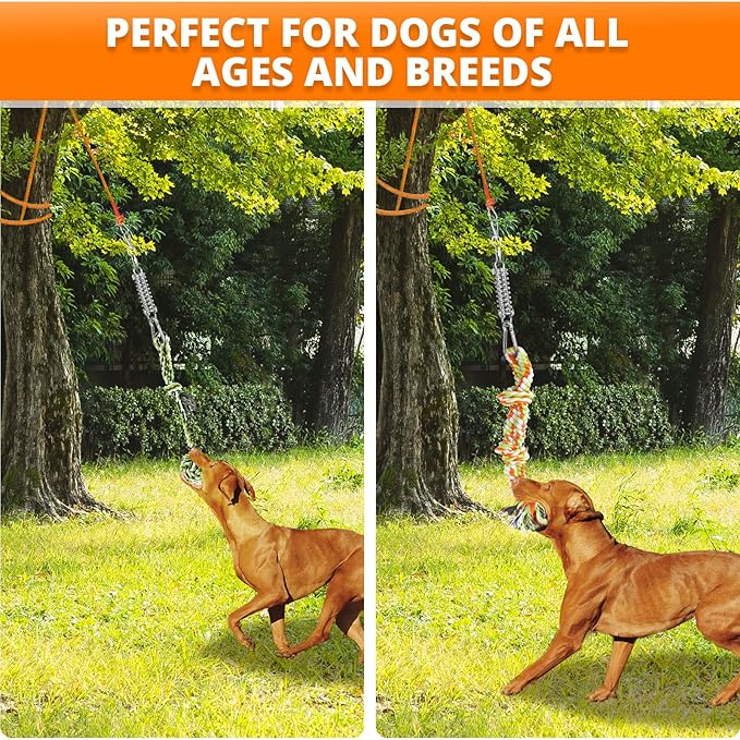 Spring Pole Dog Rope Toys: Dog Rope Pull & Tug of War Toy with a Big Spring Pole Kit & 2 Strong Dog Rope Toys & 16ft Rope - Muscle Builder Interactive Dog Toy for Pitbull Medium Large Dog Alaska