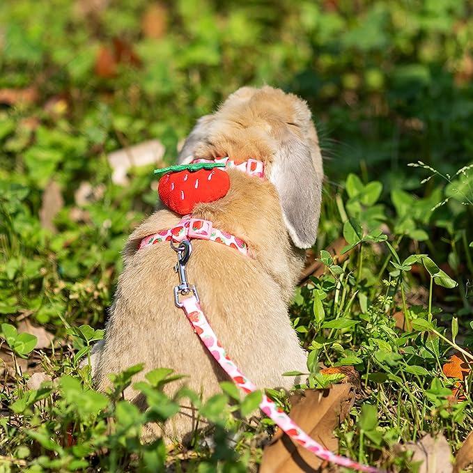 Rabbit Harness and Leash - Adjustable Bunny Harness Escape Proof for Walking Runnig Hiking Camping Outdoor - Pink Strawberry Pattern Cute Small Animal Harness Leash Set
