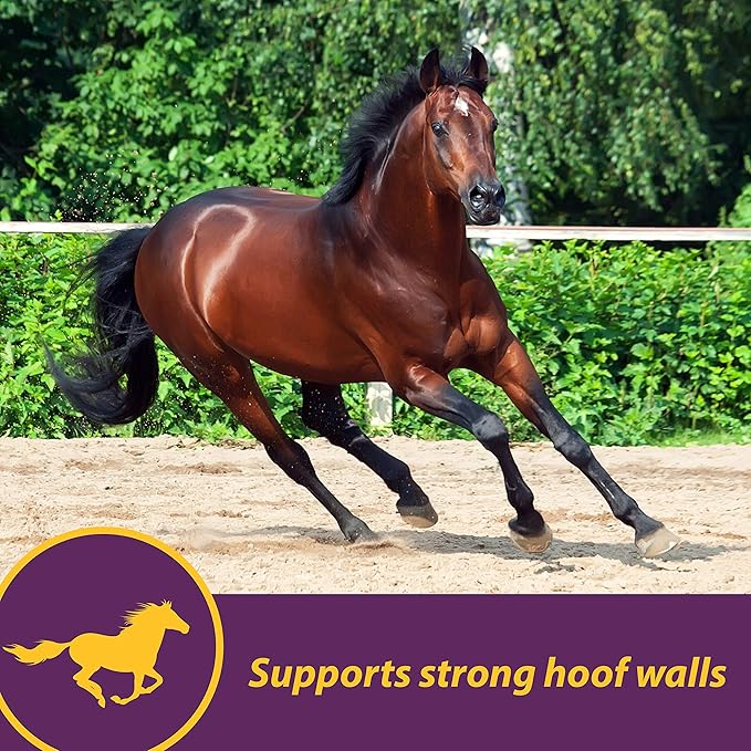 Vita Biotin Crumbles horse hoof Supplement, Helps maintain healthy, sound hooves and strong hoof walls, 3 lbs., 48 day supply